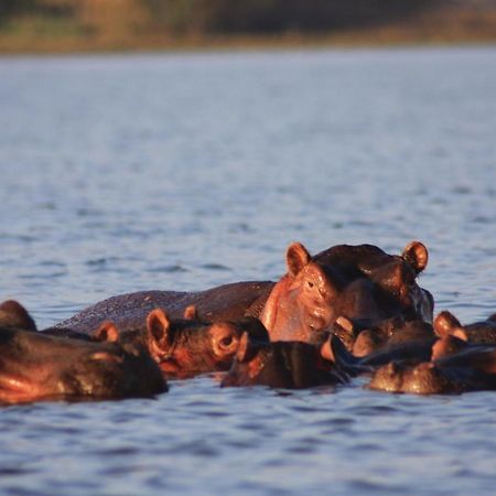Lake Naivasha Simba Lodge Nairobi Esterno foto