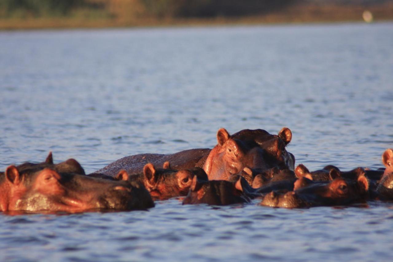 Lake Naivasha Simba Lodge Nairobi Esterno foto