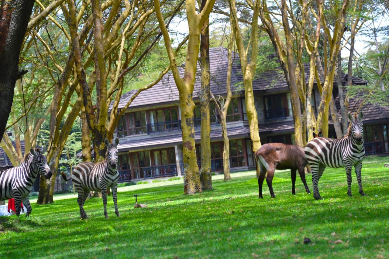 Lake Naivasha Simba Lodge Nairobi Esterno foto